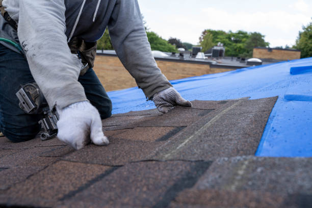 Best Sealant for Roof  in Harlem, GA